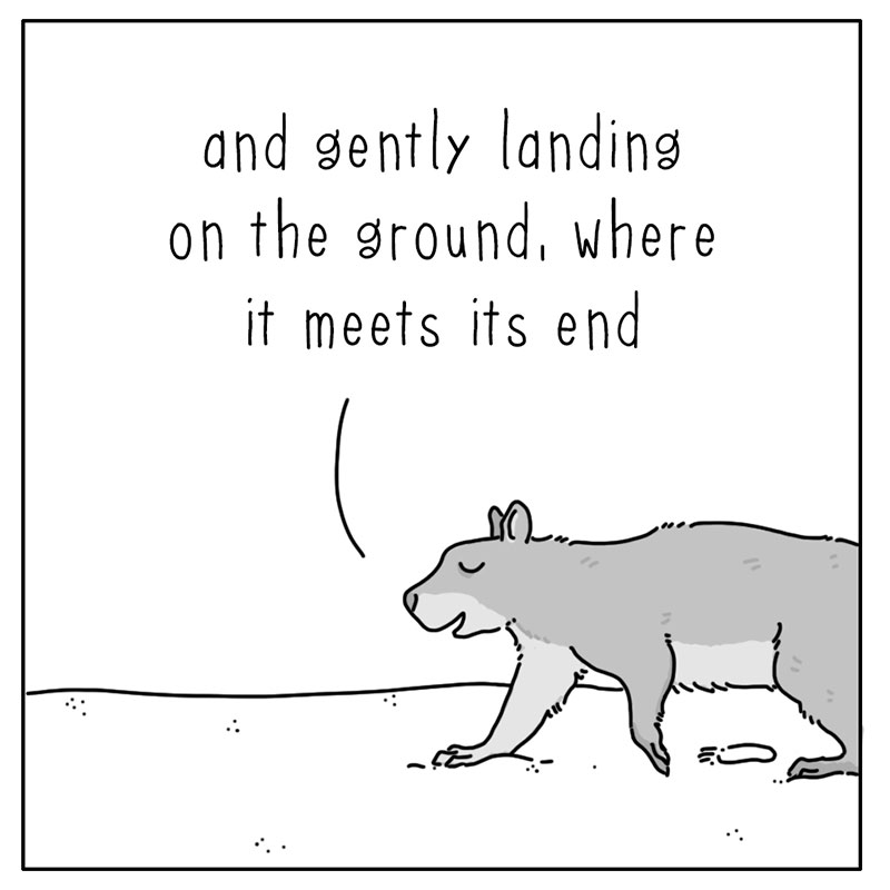 https://cdn.tinyview.com/they-can-talk/2022/12/12/light/squirrel_light_3.jpg