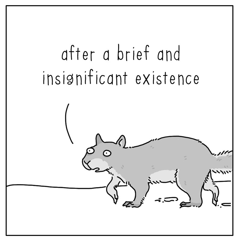 https://cdn.tinyview.com/they-can-talk/2022/12/12/light/squirrel_light_4.jpg