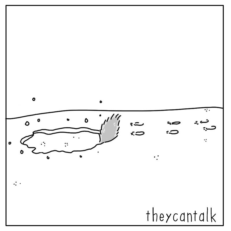 https://cdn.tinyview.com/they-can-talk/2022/12/12/light/squirrel_light_5.jpg