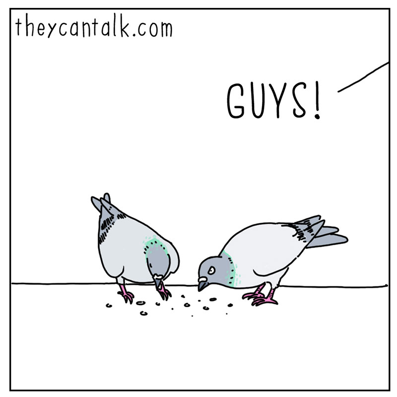 https://cdn.tinyview.com/they-can-talk/2022/12/16/urgent/pigeon_hat1.jpg