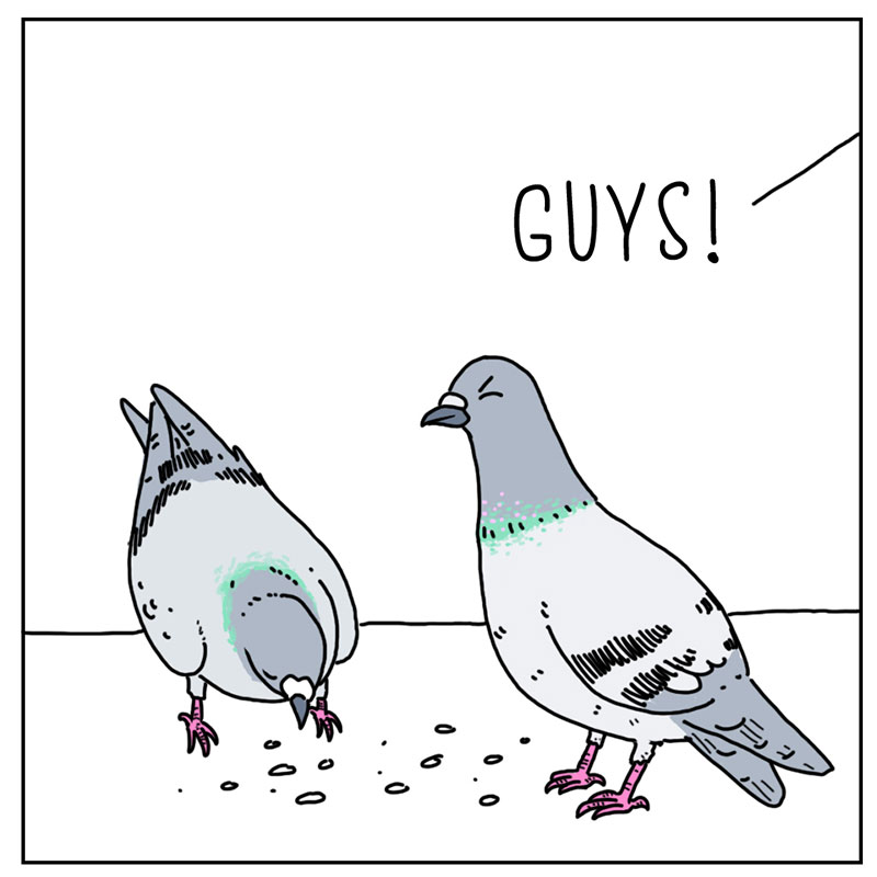 https://cdn.tinyview.com/they-can-talk/2022/12/16/urgent/pigeon_hat2.jpg