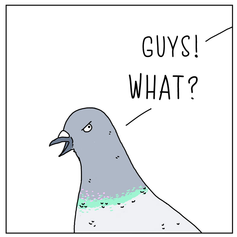 https://cdn.tinyview.com/they-can-talk/2022/12/16/urgent/pigeon_hat3.jpg