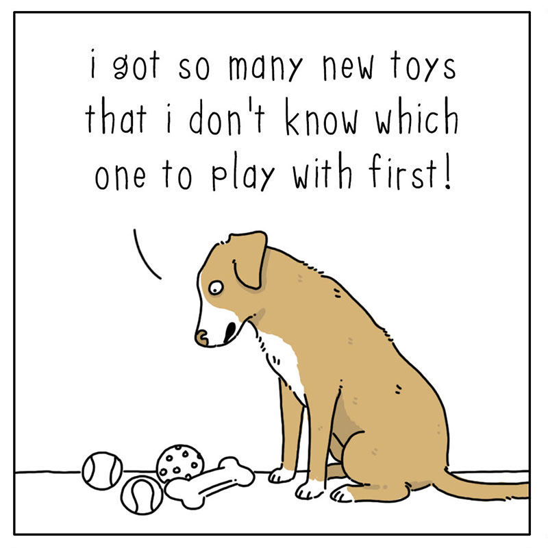 https://cdn.tinyview.com/they-can-talk/2022/12/25/toys/dog_toys_1.jpg