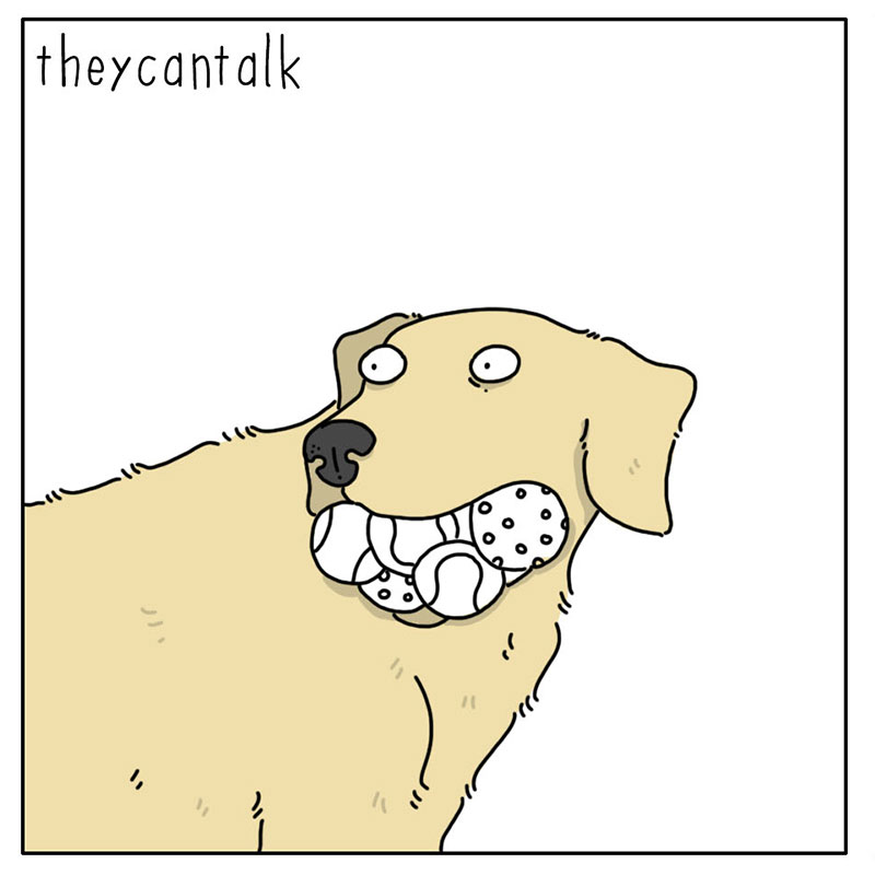 https://cdn.tinyview.com/they-can-talk/2022/12/25/toys/dog_toys_3.jpg