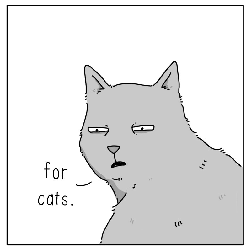 https://cdn.tinyview.com/they-can-talk/2022/12/30/treats/cat_treats4.jpg