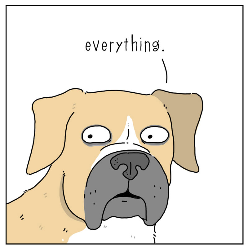https://cdn.tinyview.com/they-can-talk/2023/01/08/everything/dog_everything_3.jpg
