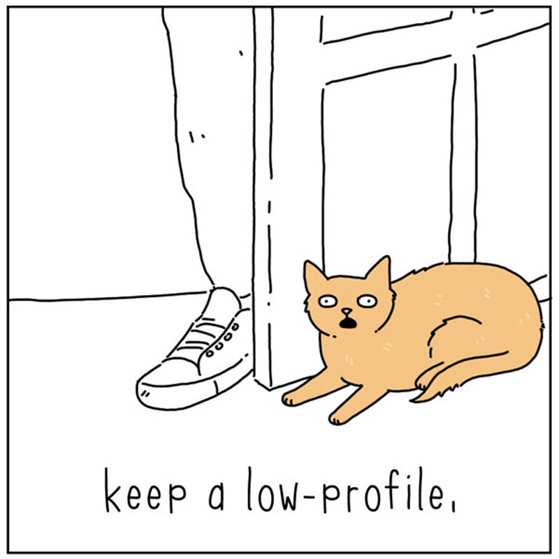 https://cdn.tinyview.com/they-can-talk/2023/01/13/inconspicuous/cat_inconspicuous2.jpg
