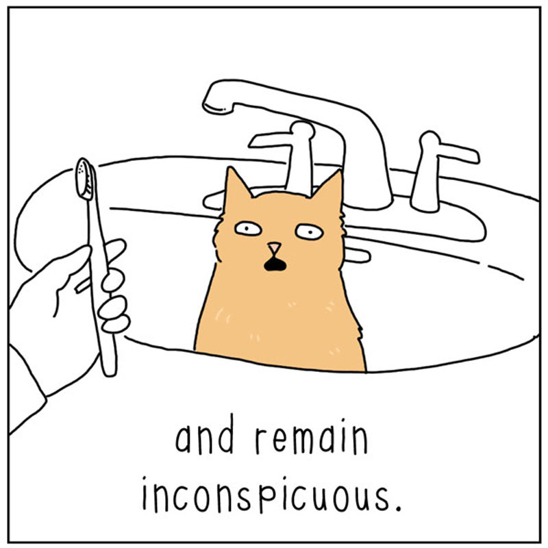 https://cdn.tinyview.com/they-can-talk/2023/01/13/inconspicuous/cat_inconspicuous3.jpg