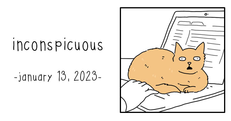 inconspicuous