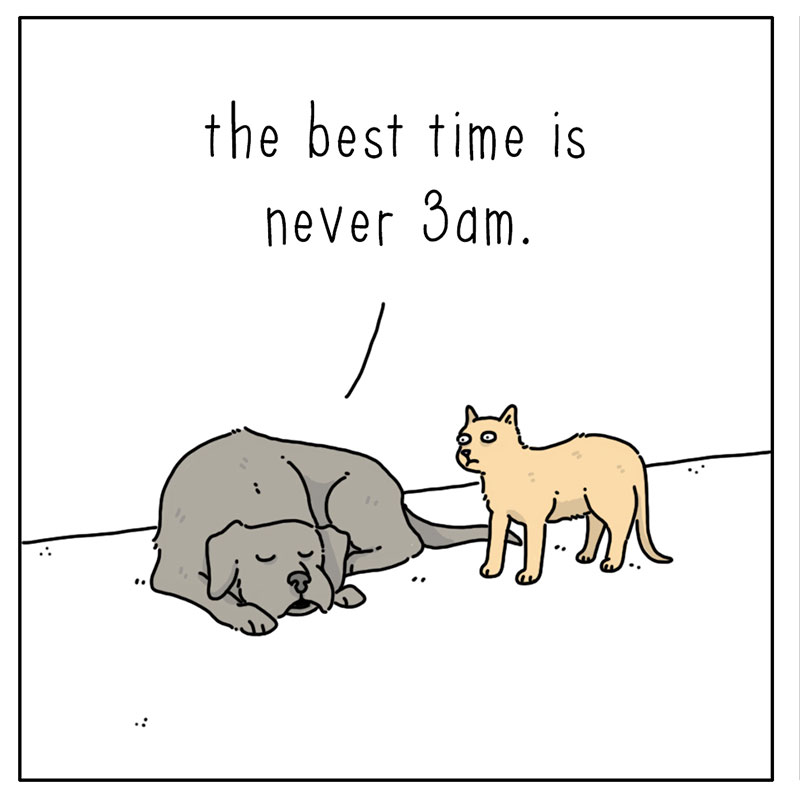 https://cdn.tinyview.com/they-can-talk/2023/01/16/exercise/cat_exercise3.jpg