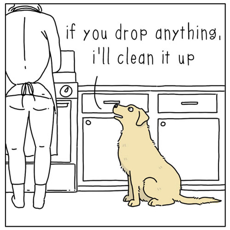 https://cdn.tinyview.com/they-can-talk/2023/01/19/help/dog_help1.jpg