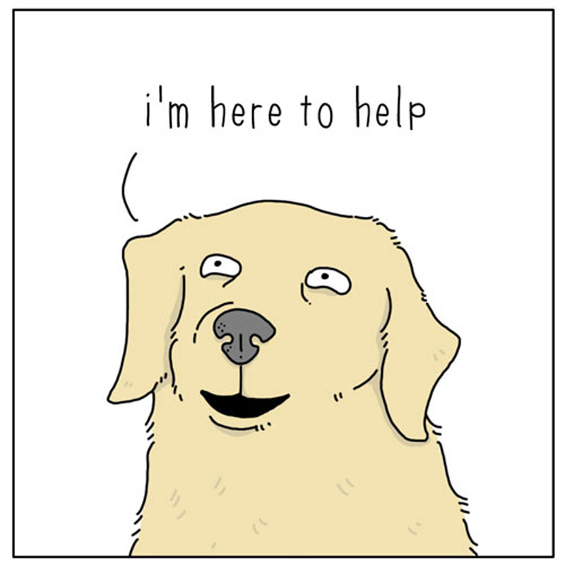 https://cdn.tinyview.com/they-can-talk/2023/01/19/help/dog_help2.jpg