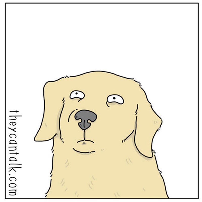 https://cdn.tinyview.com/they-can-talk/2023/01/19/help/dog_help3.jpg
