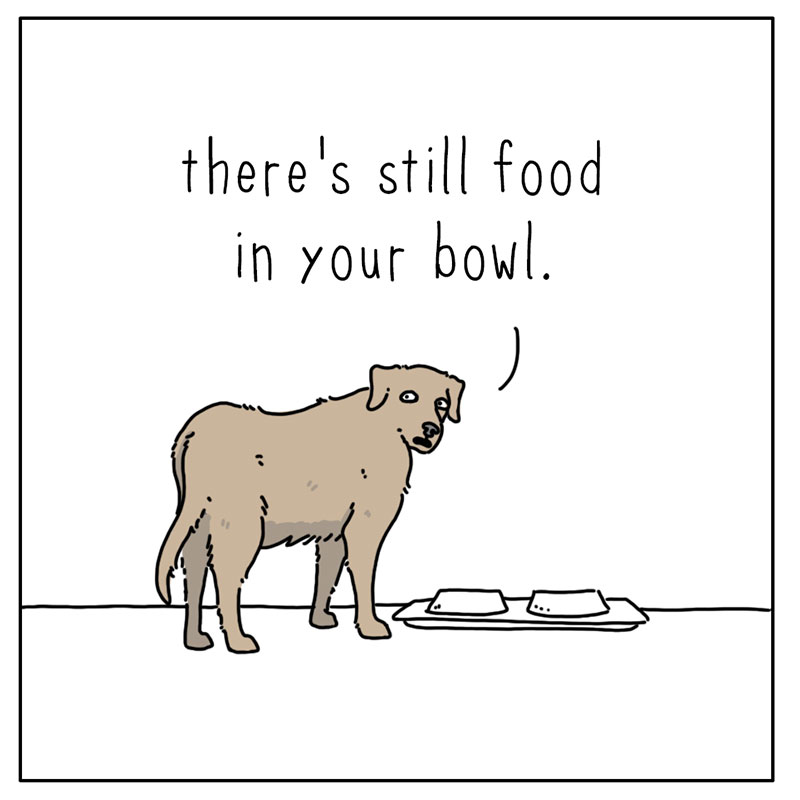 https://cdn.tinyview.com/they-can-talk/2023/01/27/bowl/dog_bowl1.jpg