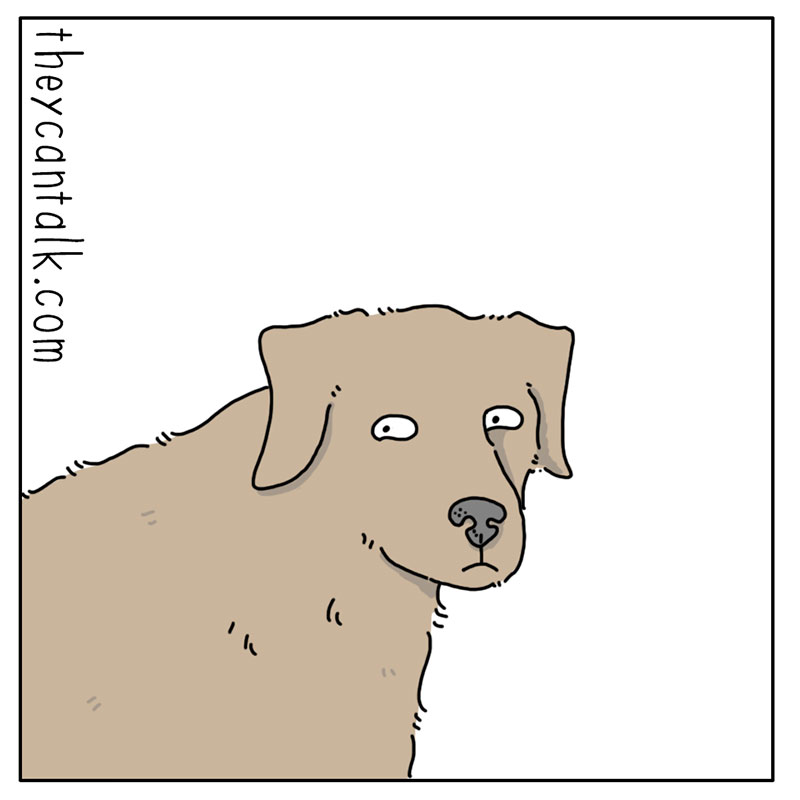 https://cdn.tinyview.com/they-can-talk/2023/01/27/bowl/dog_bowl3.jpg