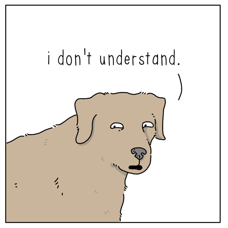 https://cdn.tinyview.com/they-can-talk/2023/01/27/bowl/dog_bowl4.jpg