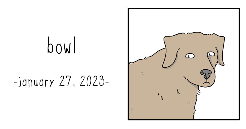 bowl