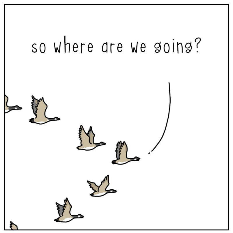 https://cdn.tinyview.com/they-can-talk/2023/02/02/leader/goose_leader1.jpg