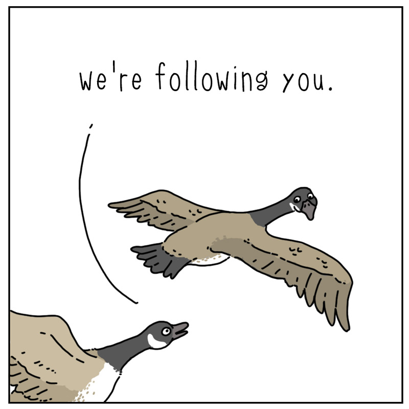 https://cdn.tinyview.com/they-can-talk/2023/02/02/leader/goose_leader2.jpg