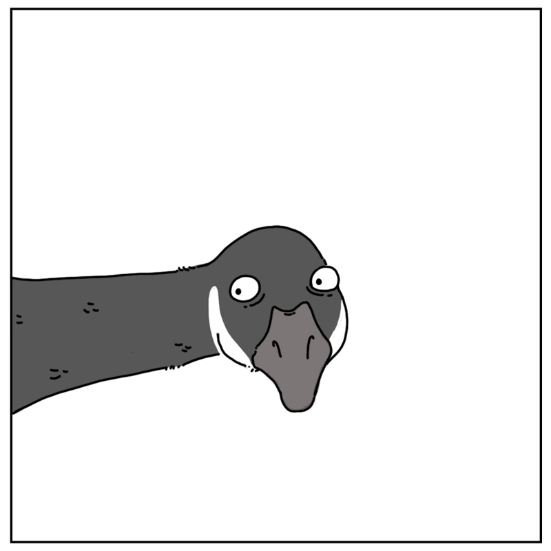 https://cdn.tinyview.com/they-can-talk/2023/02/02/leader/goose_leader3.jpg