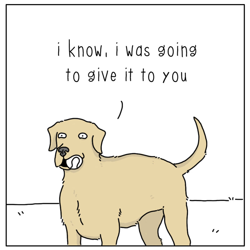 https://cdn.tinyview.com/they-can-talk/2023/02/06/ball/dog_ball2.jpg