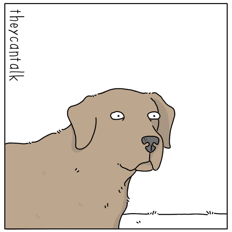 https://cdn.tinyview.com/they-can-talk/2023/02/06/ball/dog_ball3.jpg