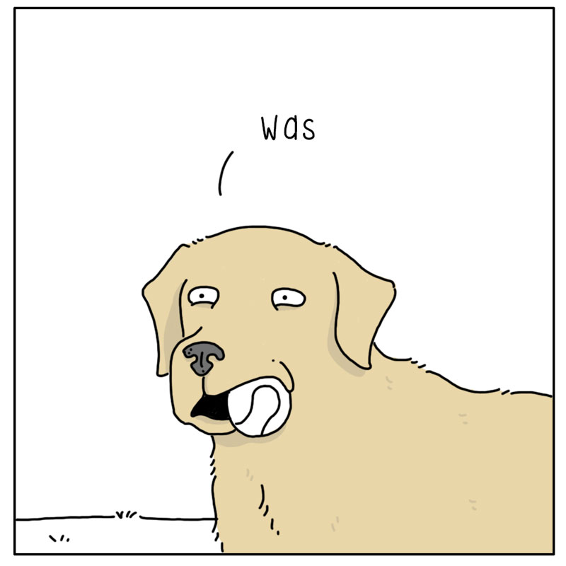 https://cdn.tinyview.com/they-can-talk/2023/02/06/ball/dog_ball4.jpg