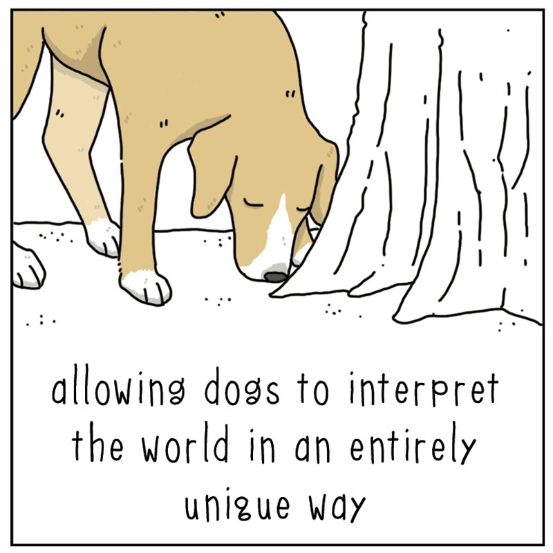 https://cdn.tinyview.com/they-can-talk/2023/02/10/remarkable/dog_remarkable3.jpg