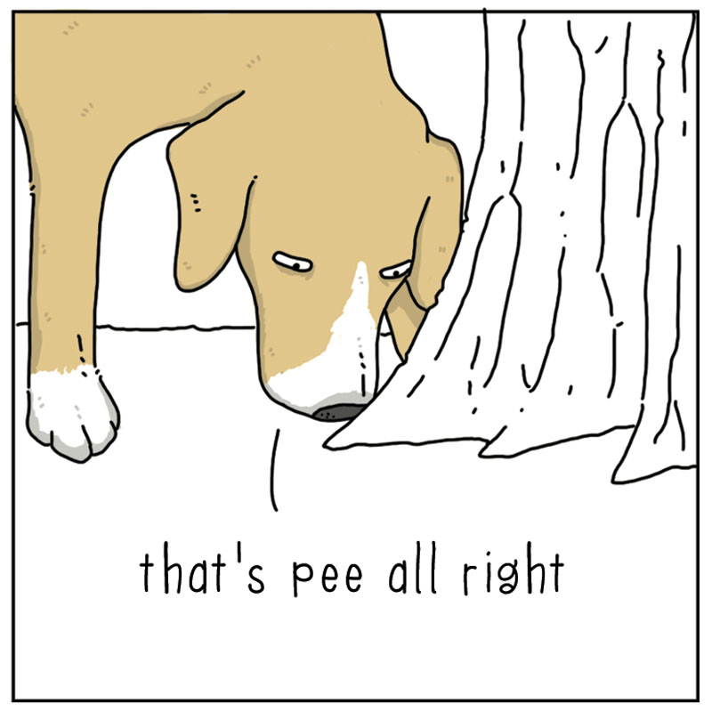 https://cdn.tinyview.com/they-can-talk/2023/02/10/remarkable/dog_remarkable4.jpg