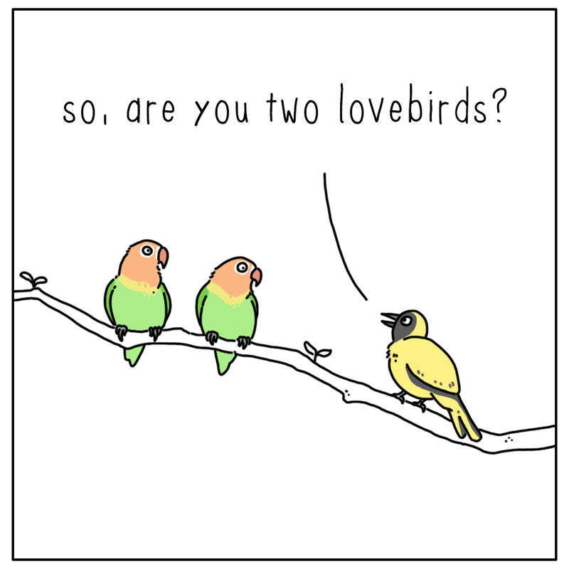 https://cdn.tinyview.com/they-can-talk/2023/02/13/lovebirds/bird_lovebirds1.jpg