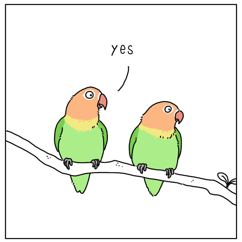 https://cdn.tinyview.com/they-can-talk/2023/02/13/lovebirds/bird_lovebirds2.jpg