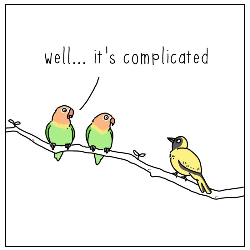 https://cdn.tinyview.com/they-can-talk/2023/02/13/lovebirds/bird_lovebirds4.jpg