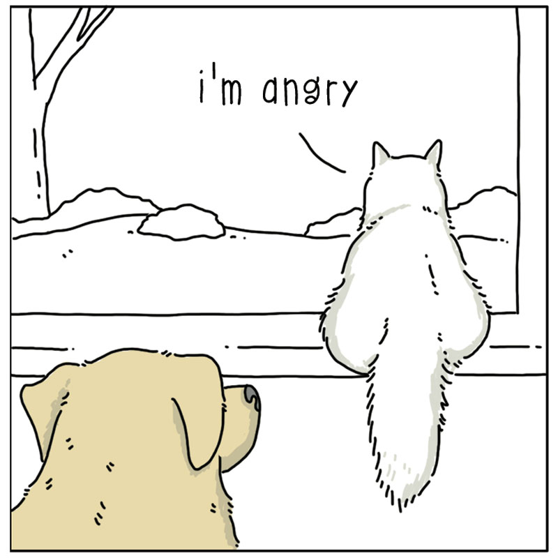 https://cdn.tinyview.com/they-can-talk/2023/02/17/angry/cat_anger1.jpg