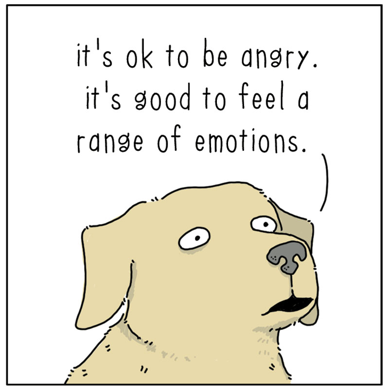 https://cdn.tinyview.com/they-can-talk/2023/02/17/angry/cat_anger2.jpg