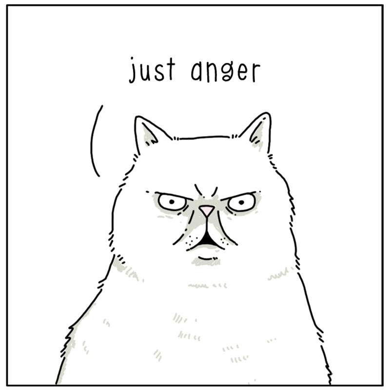 https://cdn.tinyview.com/they-can-talk/2023/02/17/angry/cat_anger4.jpg