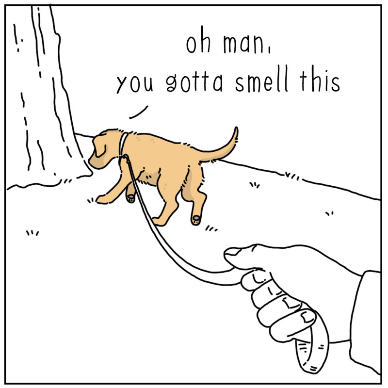 https://cdn.tinyview.com/they-can-talk/2023/02/19/join-me/dog_selfcontrol1.jpg