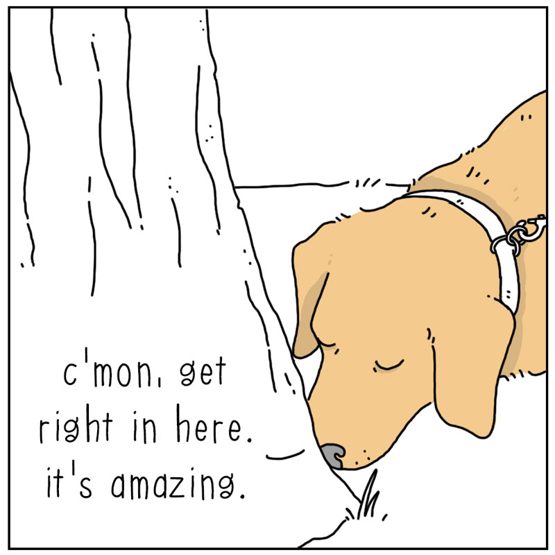https://cdn.tinyview.com/they-can-talk/2023/02/19/join-me/dog_selfcontrol2.jpg