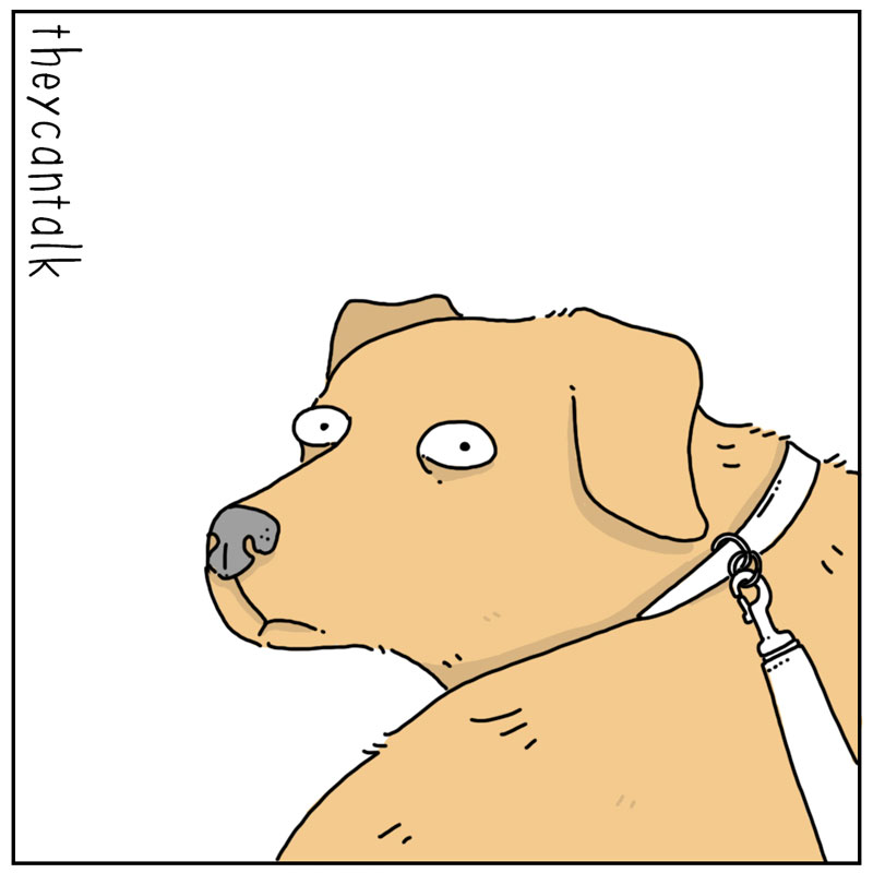 https://cdn.tinyview.com/they-can-talk/2023/02/19/join-me/dog_selfcontrol3.jpg