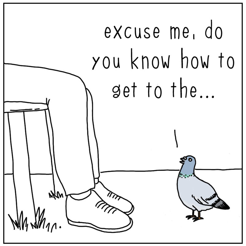 https://cdn.tinyview.com/they-can-talk/2023/02/24/directions/pigeon_seed1.jpg