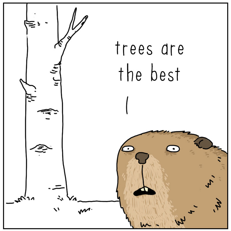 https://cdn.tinyview.com/they-can-talk/2023/03/02/trees/beaver_dam1.jpg