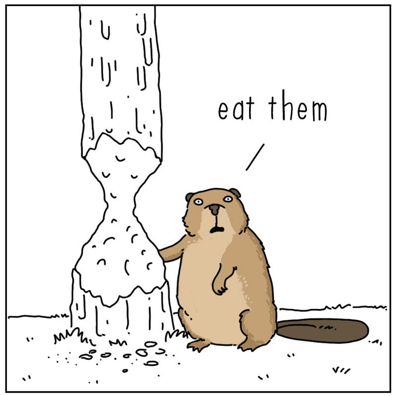 https://cdn.tinyview.com/they-can-talk/2023/03/02/trees/beaver_dam2.jpg