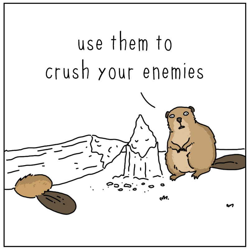 https://cdn.tinyview.com/they-can-talk/2023/03/02/trees/beaver_dam4.jpg