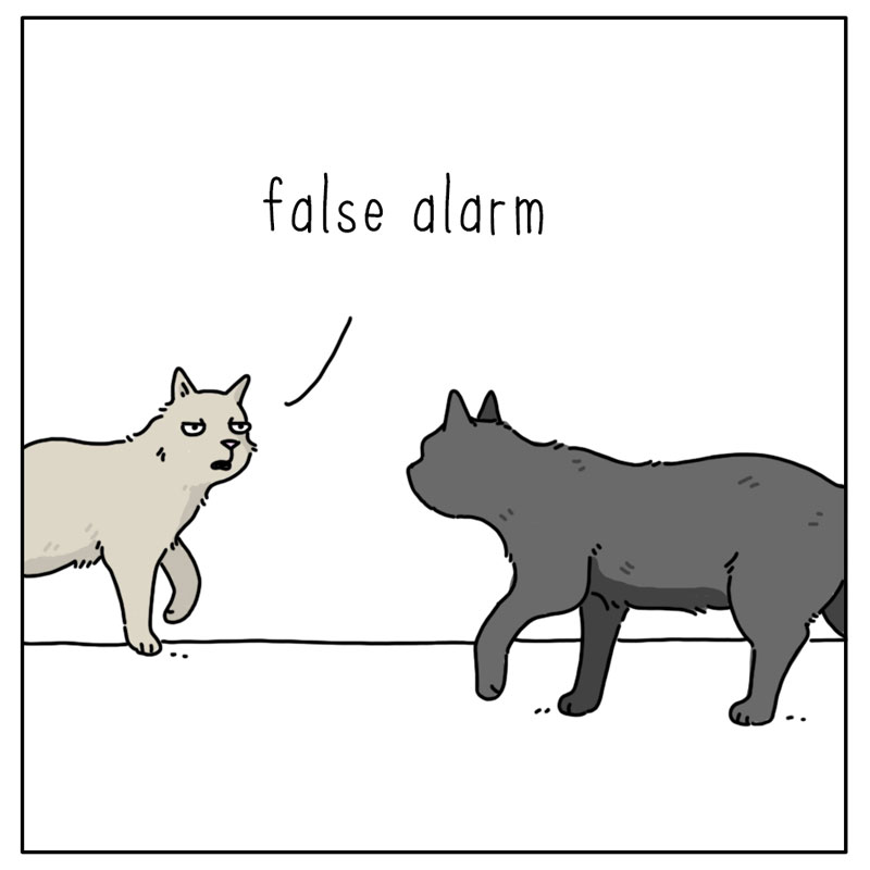 https://cdn.tinyview.com/they-can-talk/2023/03/06/alarm/cat_falsealarm4.jpg