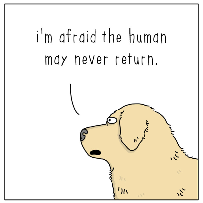 https://cdn.tinyview.com/they-can-talk/2023/03/10/human/cat_human1.jpg