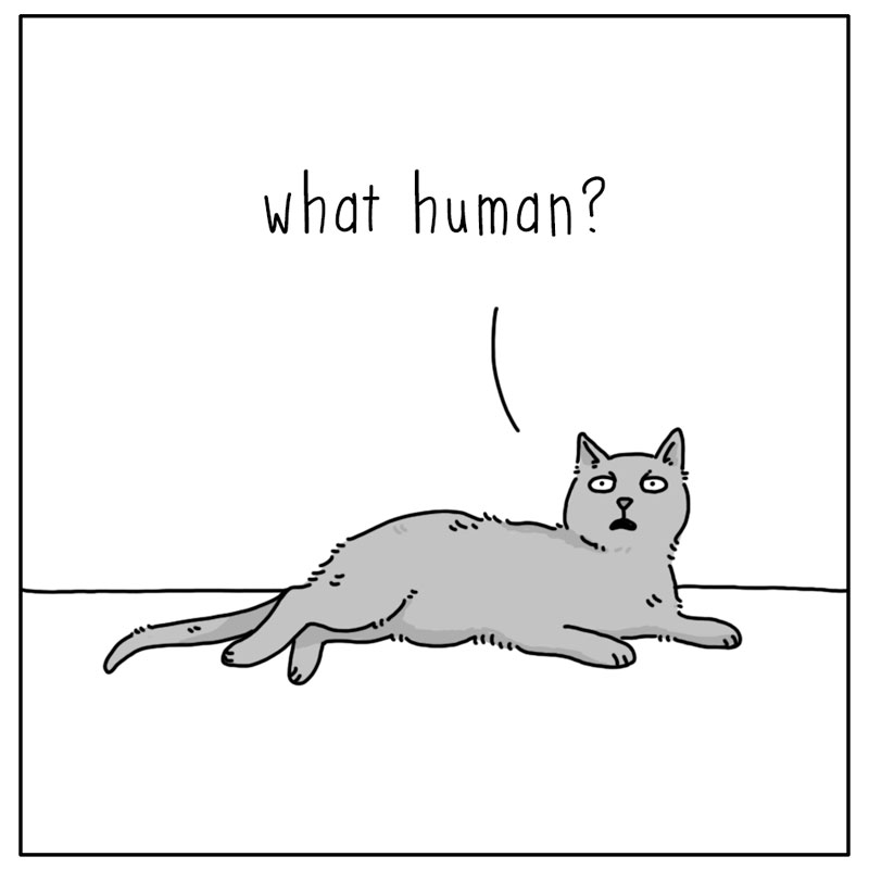 https://cdn.tinyview.com/they-can-talk/2023/03/10/human/cat_human2.jpg