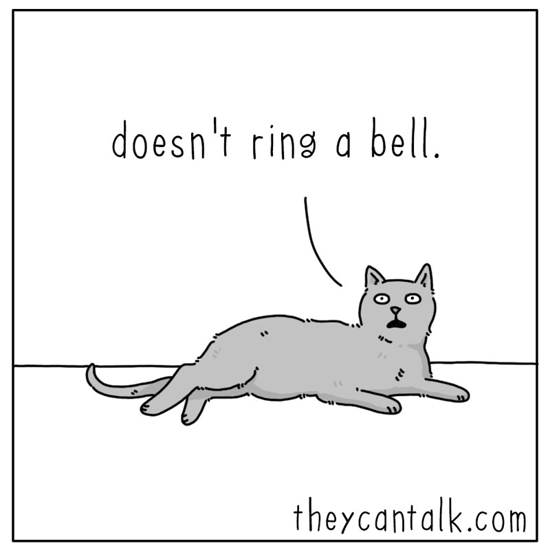 https://cdn.tinyview.com/they-can-talk/2023/03/10/human/cat_human4.jpg
