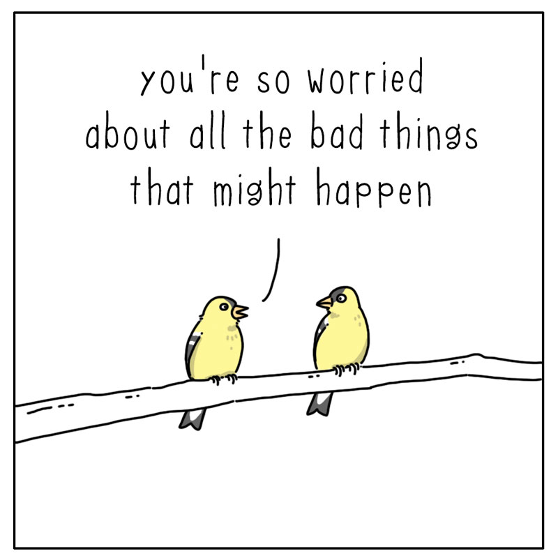 https://cdn.tinyview.com/they-can-talk/2023/03/13/worried/bird_worried1.jpg