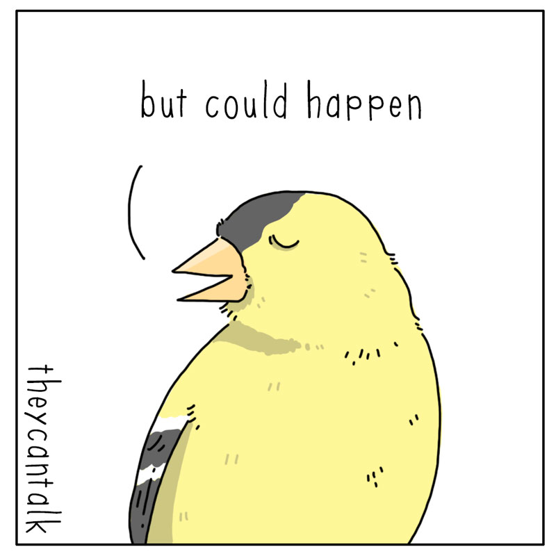 https://cdn.tinyview.com/they-can-talk/2023/03/13/worried/bird_worried3.jpg