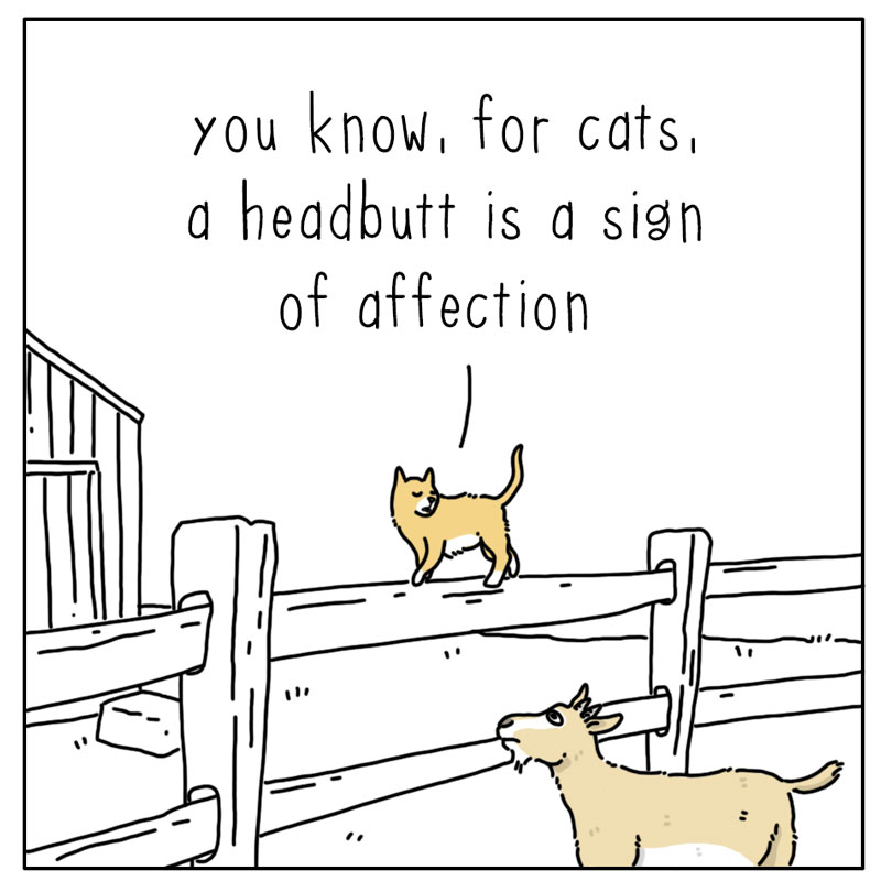 https://cdn.tinyview.com/they-can-talk/2023/03/17/affection/cat_affection1.jpg