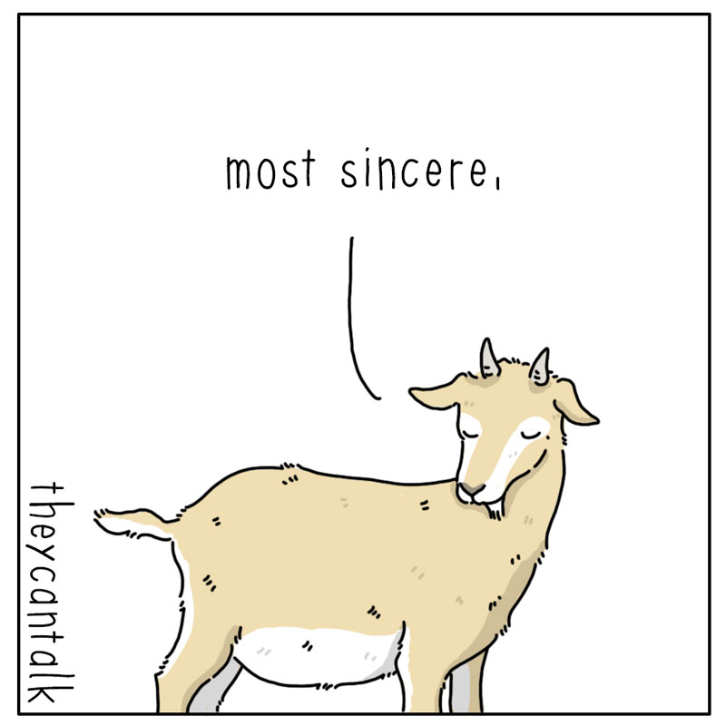 https://cdn.tinyview.com/they-can-talk/2023/03/17/affection/cat_affection3.jpg